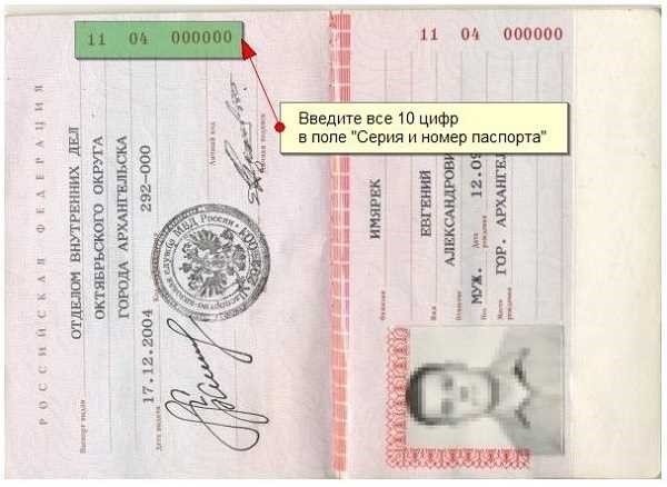 Серия и номер паспорта где смотреть